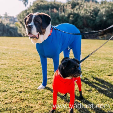 Fashion new designer invention pets clothes